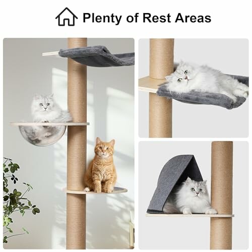 Cats relaxing on a multi-level cat tower with resting areas.