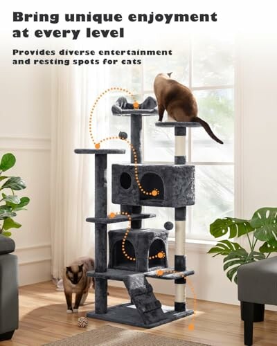 Cats playing on a multi-level cat tree near a window.