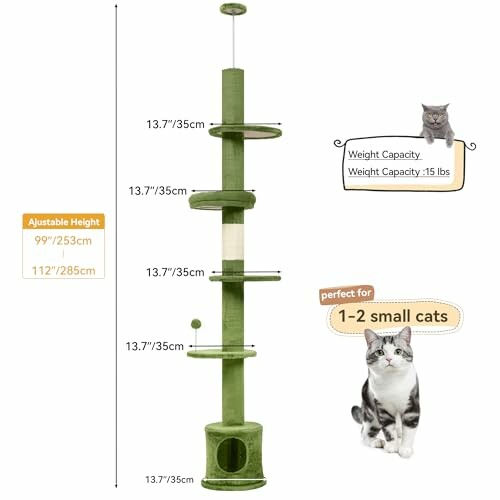 Tall green cat tree with platforms, weight capacity for 1-2 small cats.